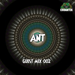 Guest Mix 002 - ANT