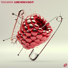 Tom Santa - I Like How U Do It [HOTMEAL021]