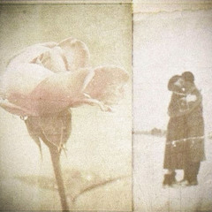 на ранах моїх сіль