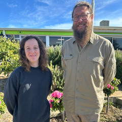 Rust Fungus a tool in the fight against African boxthorn, says CSIRO - trial sites needed