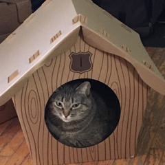 One of Those Things (one track demo)