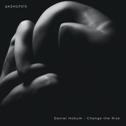 [ΔKSHGF015] Daniel Hokum - Change The Rise
