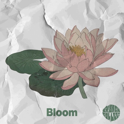 Bloom [Full Comp]