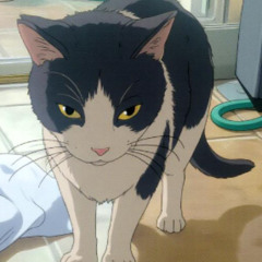 Cosina - Yeah… spin it slow… (1)