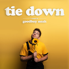 tie down