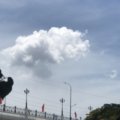 16 3Q khong ten 3 (x16 TF)