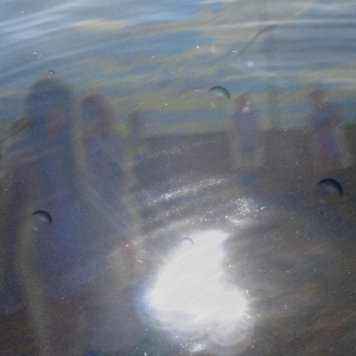 droplets