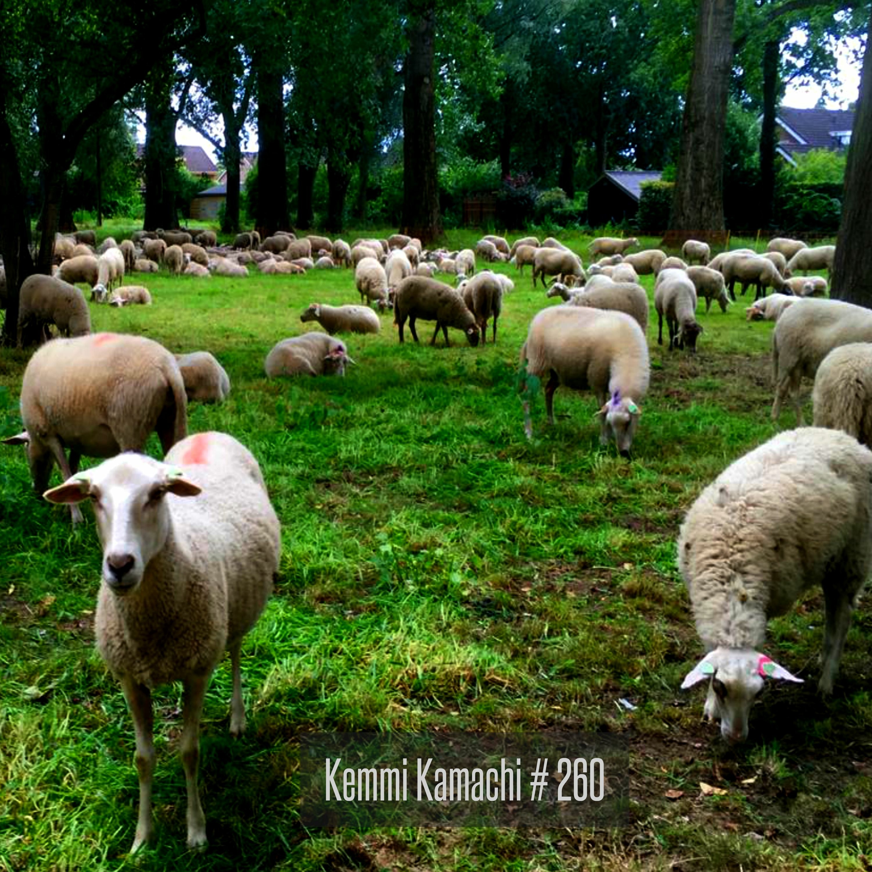 Kemmi Kamachi