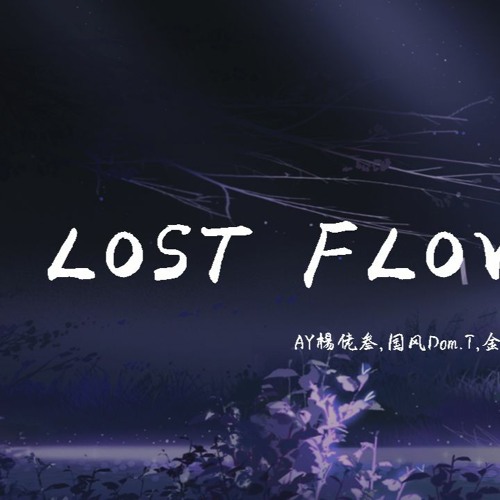 Ay楊佬叁 国风dom T 金贵晟 Lost Flower 花 你是最美的angel 迷失的flower 動態歌詞 Lyrics Video By Wcy Music Studio