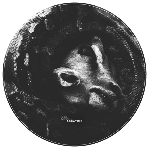 DT:Premiere | BRÄLLE - Self Termination [Adversarial Machines]