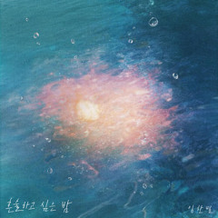 임한별 - 혼술하고 싶은 밤