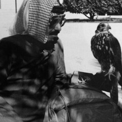 يا راعي الغر العذاب المباهيش!