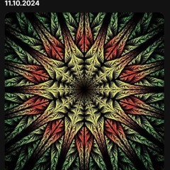 11.10.2024
