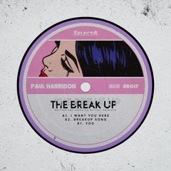 Premiere : Paul Harrison (UK) - BreakUp Song (Original Mix) [SR017]