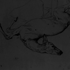 Untitled Playlist