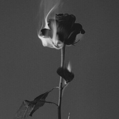 lost soul (prod. by Griesgrammar)