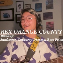 Rex Orange County Mashup / Medley (Sunflower, Corduroy, Best Friend)