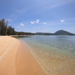 Untold Stories #21  Organica Mix