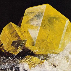 ZOLFO w/ MAYA - Blame rec podcast