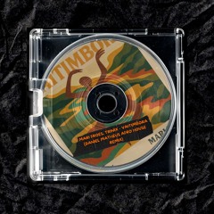 TRINIX, Mari Froes - Vaitimbora (Daniel Matheus Afro House Remix)