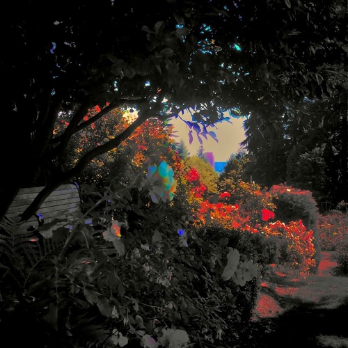 Spells in the Darkness