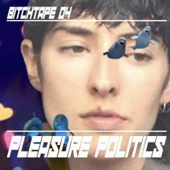 pleasure politics' earnest bitchtape / BT04