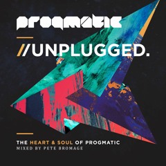 Progmatic // UNPLUGGED. with Pete Bromage