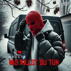 Brissy Was Willst Du Tun?