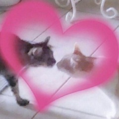 Talk with me w/Kuroxxii (prod.Dan Darmawan)