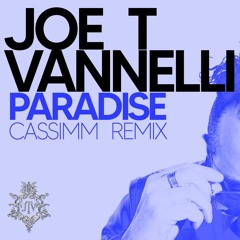 Joe T Vannelli - Paradise (CASSIMM Extended Remix)