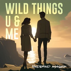 Wild Things, U & Me | ILLENIUM, Sasha Alex Sloan, UNDEFYND & Lø Spirit Mashup