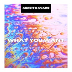 Aexcit & Avaro - What You Want