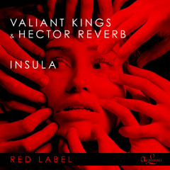 Valiant King & Hector Reverb - Insula (Radio Edit)
