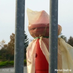 Marius Onofrei [12.11.2020]