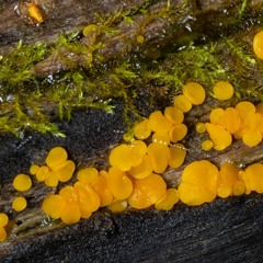 Rainy Day Riddims, Vol. 1