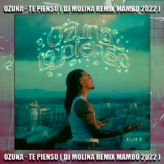 Ozuna - Te Pienso ( Dj Molina REMIX Mambo 2022 )