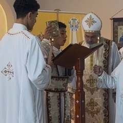 Damian Mahrous - Wedding Gospel Reading