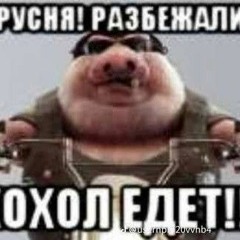 ZOMBAK 52