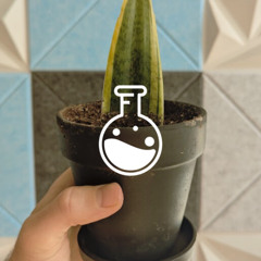 Fugacity Labs EP. 53