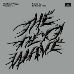 The Next Wave, Volume. 10 - Mixed by El Blanco Nino