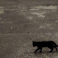 horrible (prod. michael harrison x dutchrevz)