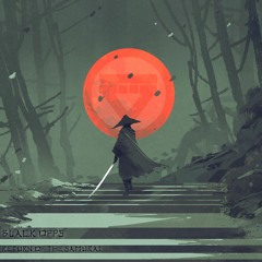 Black Opps - The Path [IN:DEEP039]