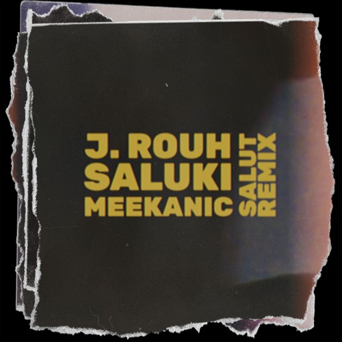 J. ROUH, SALUKI - SALUT (meekanic remix)