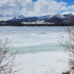 Got Myself an Addict (Vocal and Acoustic Guitar)