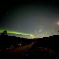 Triq Norge Phat Junglism