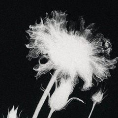 break it off w/ squarez (pinkpantheress & cash cobain jersey flip)