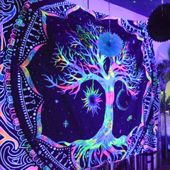 Cody's Birthday @ The Dark Horse pub, Bristol - December 6th - Drum & Bass