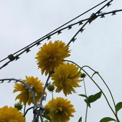 Electrician's Memorial Procession