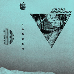 DC Promo Tracks #735: Iguana Moonlight "G"