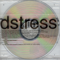 The 2nd Perpetuate the Beautiful